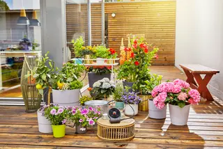 Easy solutions for watering on your balcony 