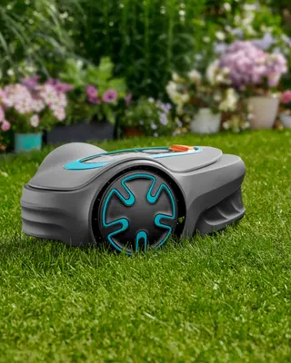 robotic lawn mower is mowing the lawn