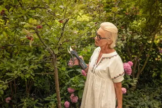 Cutting headges with the GARDENA AssistCut